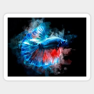 Blue and Red Betta Fish watercolor Sticker